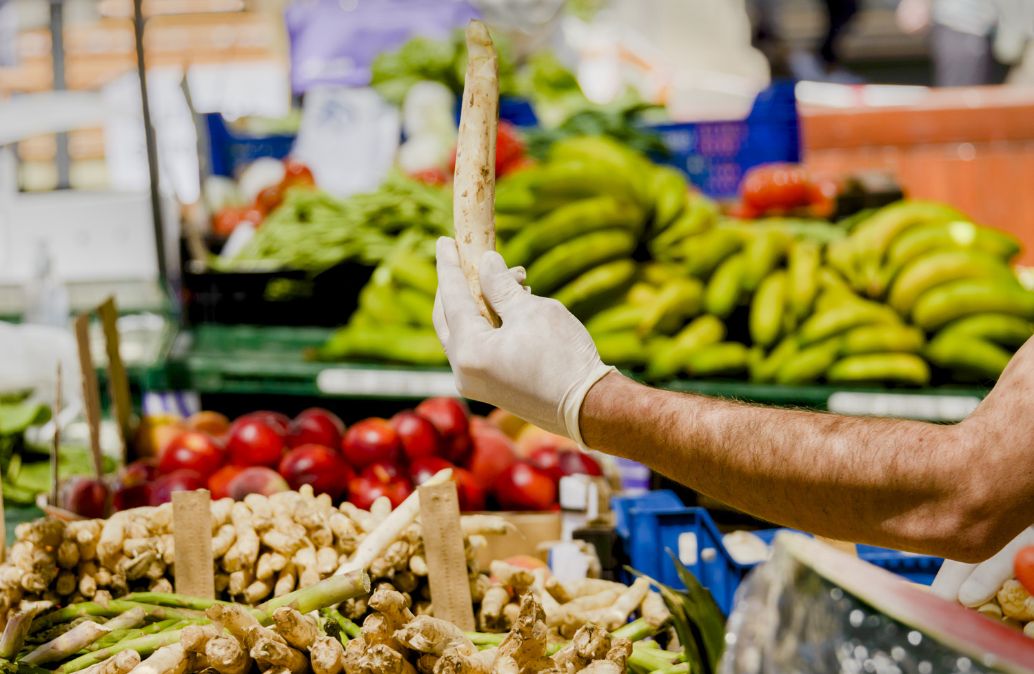 Puesto de frutas y verduras