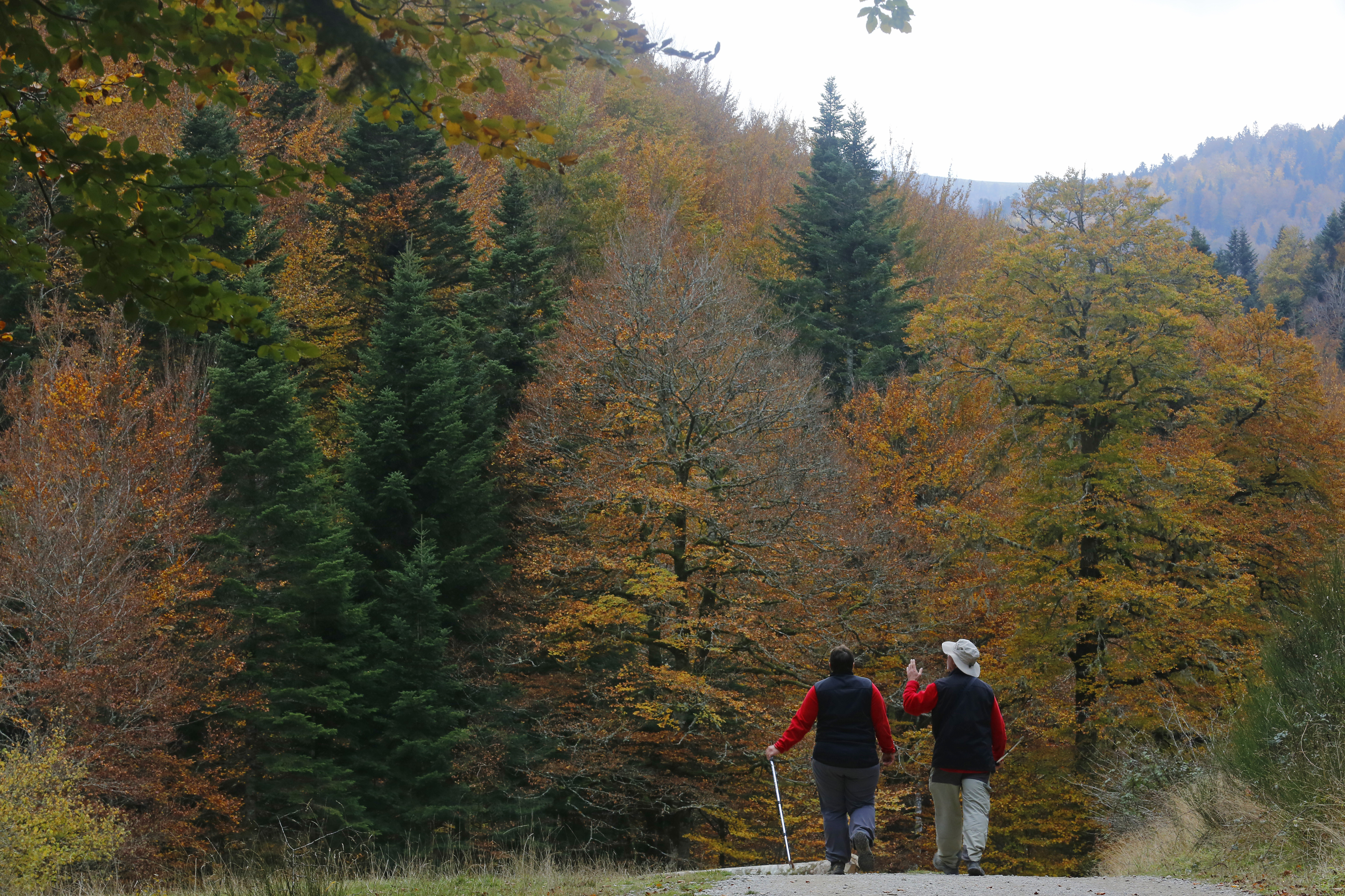 Turismo de Navarra refuerza con más de 200.000 euros su campaña de promoción turística durante este otoño
