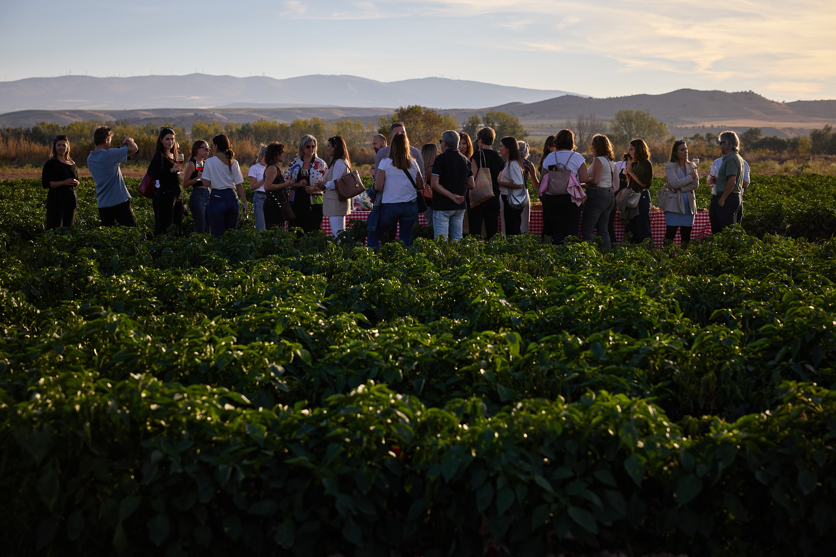 Navarra promociona su turismo gastronómico ante una veintena de periodistas e influencers