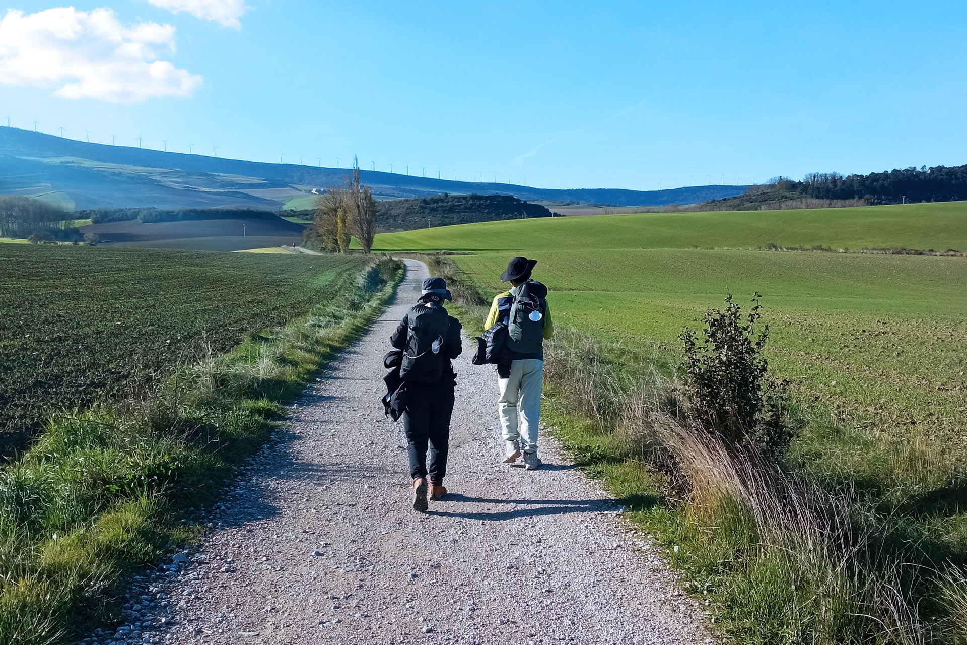 Nafarroako Turismo Zuzendaritza Nagusiak 5 Donejakue bideen 401 kilometroen egoeraren diagnostikoa enkargatu du