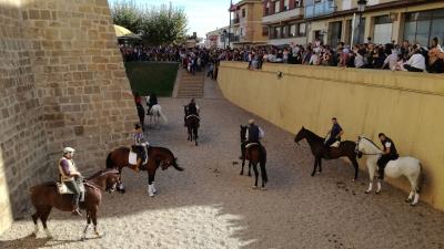 Ferias de Marcilla