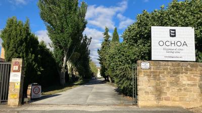 Visite des caves à vins Bodegas Ochoa