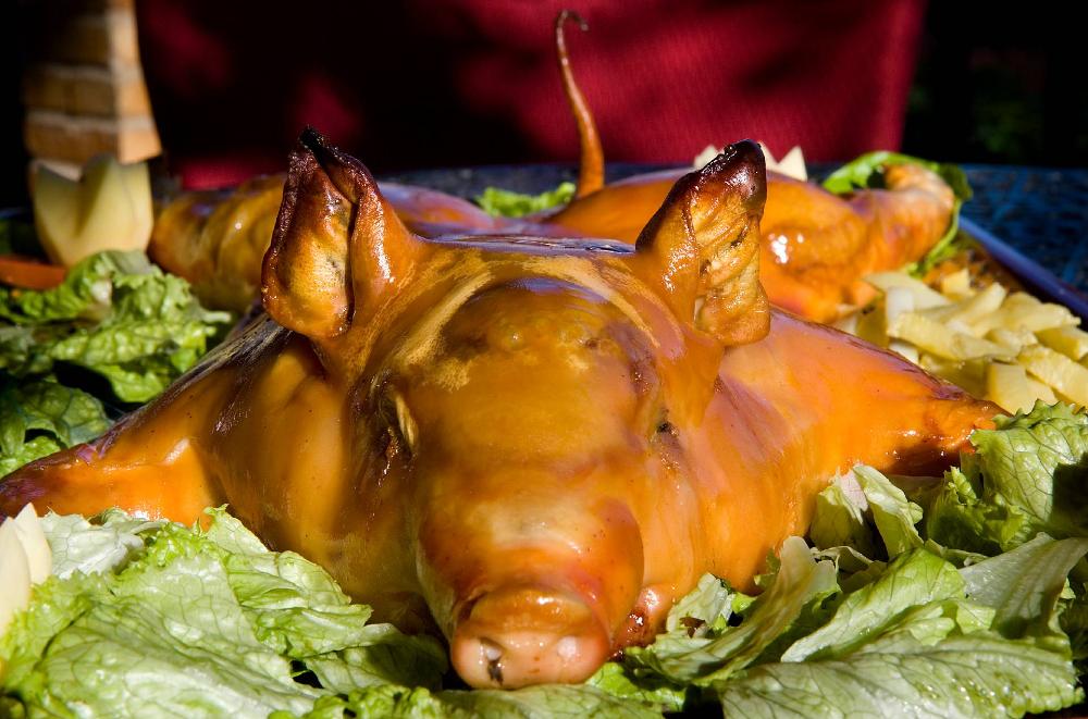 Assiette de Gorrin (jeune porc grillé) avec salade