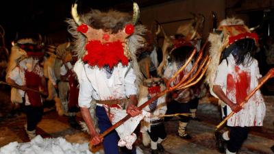 Carnavals de Navarre. Magie et tradition.