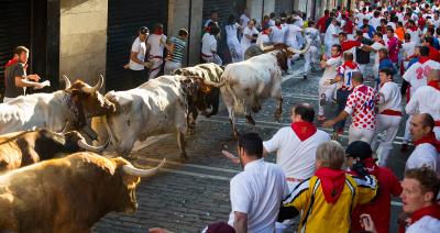 Fiestas of San Fermín