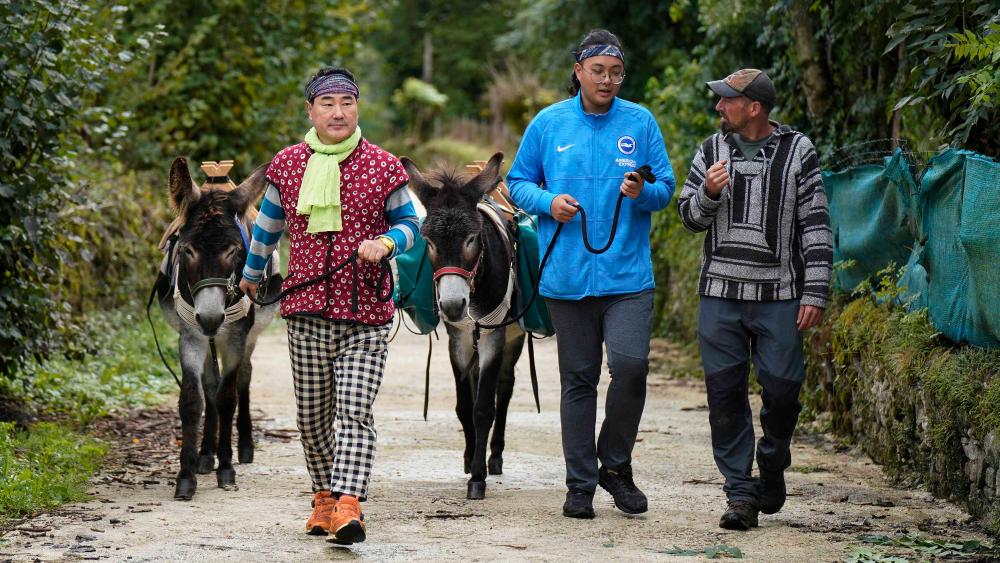 Paseo en burro por la Vía Verde del Plazaola