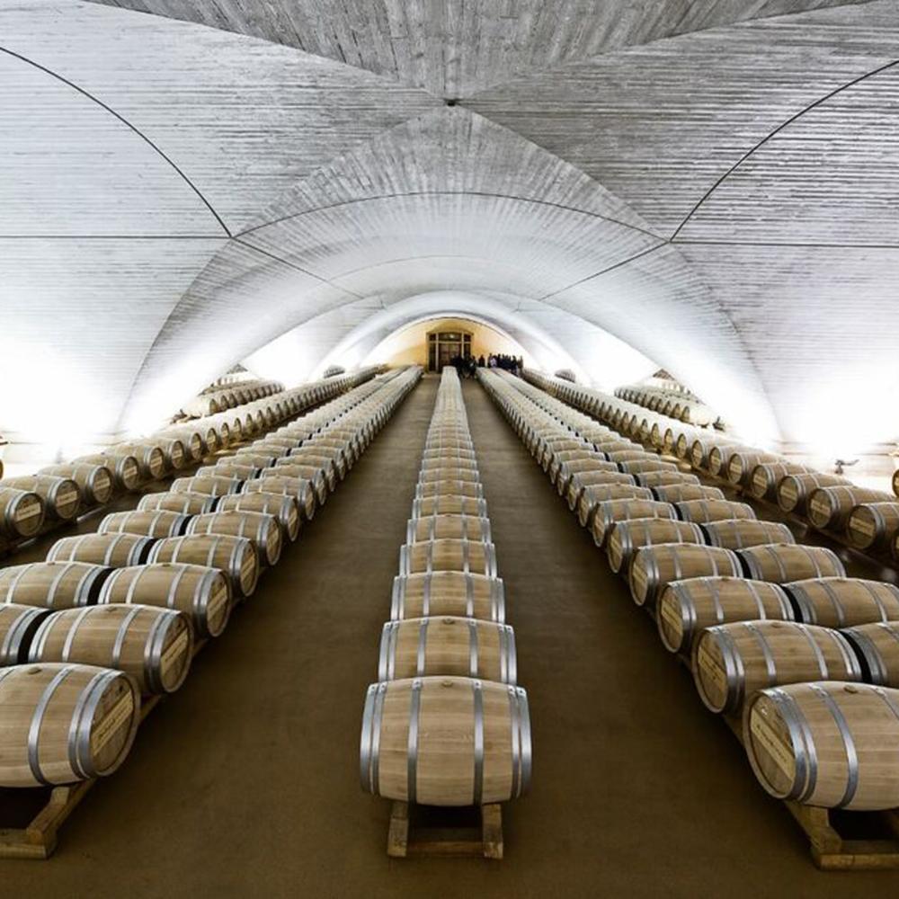 Sala con barricas en bodegas Otazu