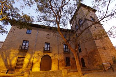 Guided tour of the Palacio de los Mencos and wine tasting