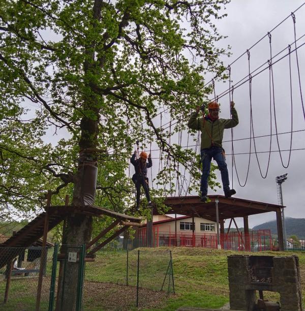 Dos personas andando por los puentes entre árboles