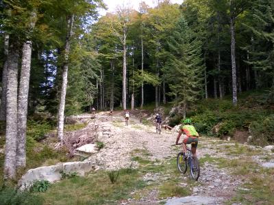 Irati Xtrem (BTT)