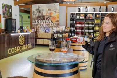 Experiencia Pinceladas entre vinos en Bodega Cosecheros de Olite