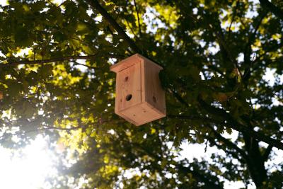 casa para pájaros