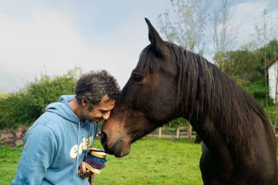 experiencia con caballos