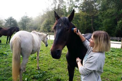 experiencia con caballos