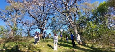 Actividad de conexión y regeneración en una granja escuela