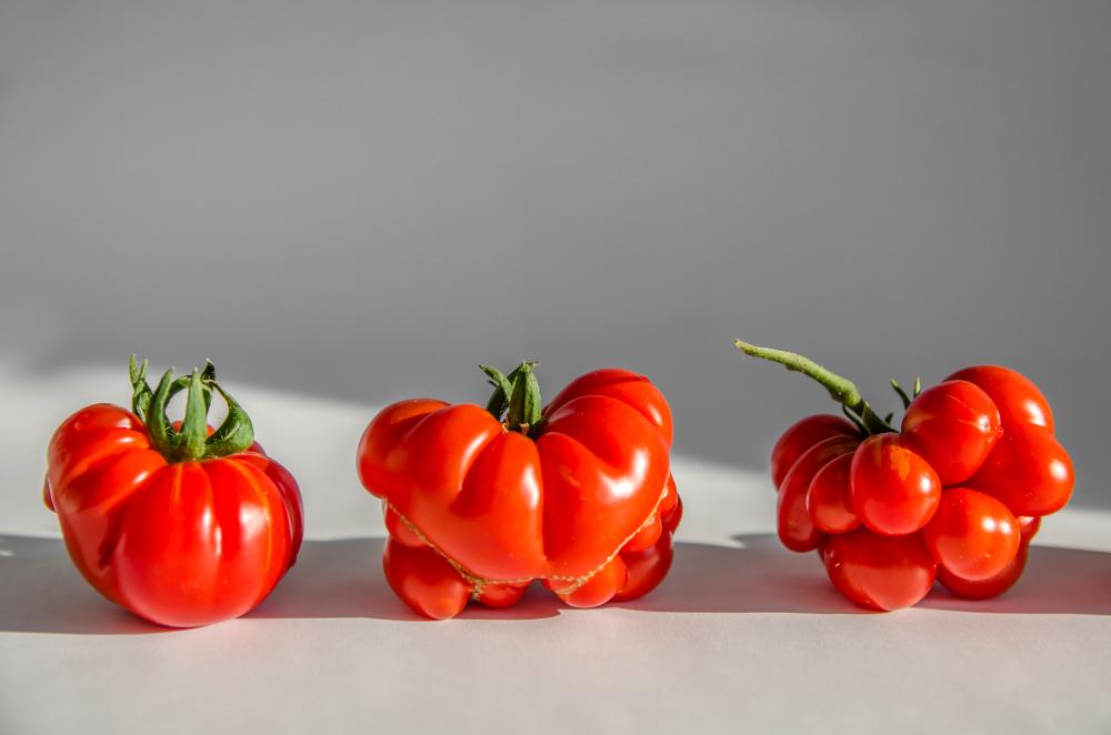 Tres tomates feos de Tudela