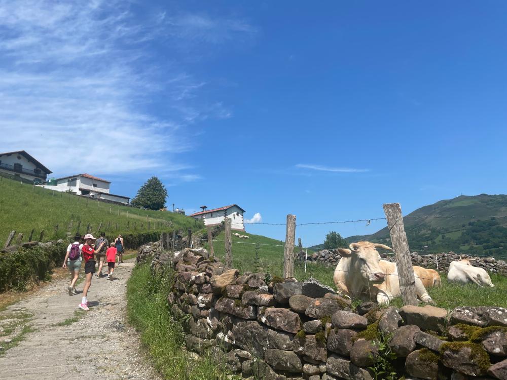 Familia andando por un camino al lado de un prado con vacas