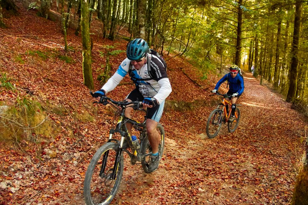 Dos ciclistas por un camino cubierto de hojas otañales entre hayas de la Selva de Irati