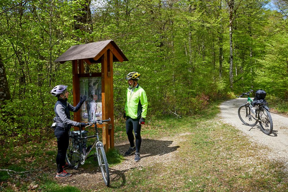 Dos ciclistas viendo un panel informativo en una ruta de la Selva de Irati