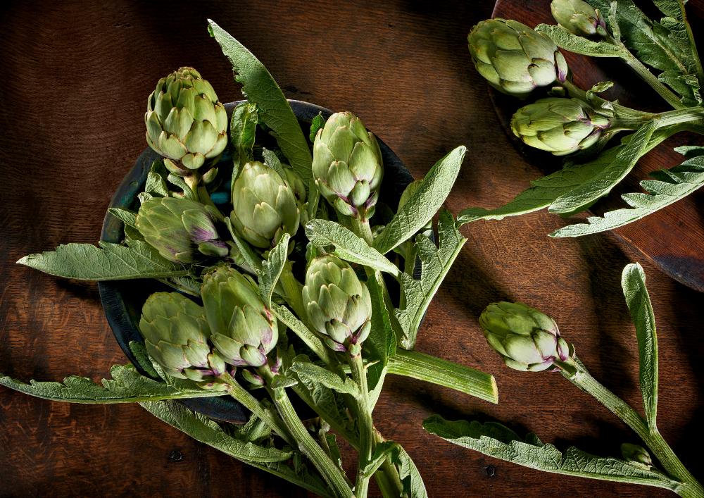 alcachofas de Navarra frescas