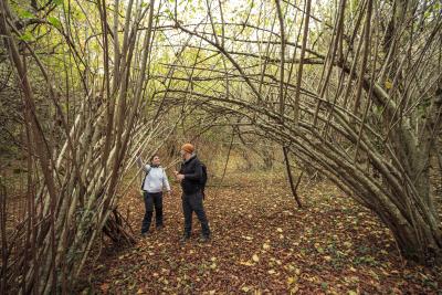 Una pareja tras una ramas sin hojas y en el suelo hay muchas hojas
