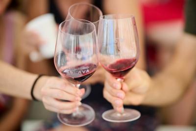 Villa de Viñas: el festival en la Baja Montaña