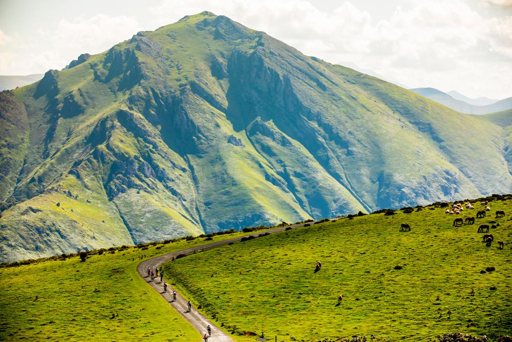 Dos ciclistas por un camino cubierto de hojas otañales entre hayas de la Selva de Irati