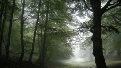 Sierra de Aralar guided nature hike