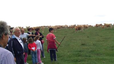 Visit to the Sarbil organic livestock farm