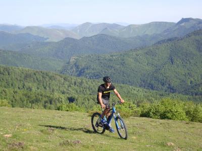 Ruta en bici eléctrica por  la Selva de Irati-Abodi