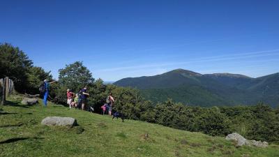 Forêt d’Iraty : contrebandiers et Mendilatz