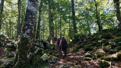 Forêt d’Iraty : contrebandiers et Mendilatz