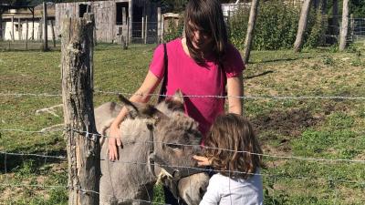 Visita la Granja-escuela Ultzama