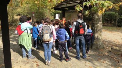 Visita la Granja-escuela Ultzama