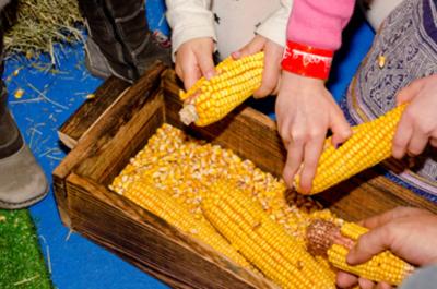 Visita guiada Granja Escuela Basabere