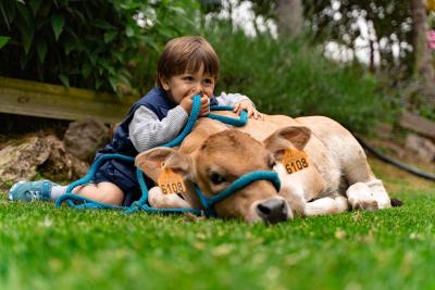 Visite guidée de la ferme-école Xuberoa