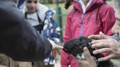 Xuberoa School Farm guided tour