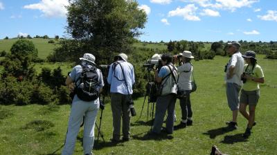 Observation des oiseaux en Navarre