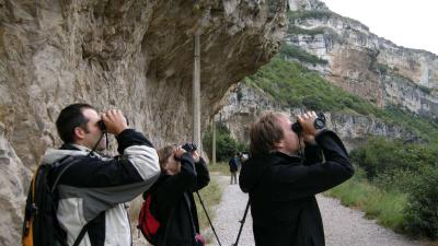 Observar aves en Navarra