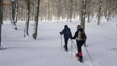 Paseo guiado con raquetas de nieve