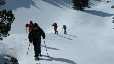 Promenade guidée en raquettes de neige