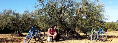 Ruta en bici eléctrica por Gallipienzo, Ujué y Santa Criz de Eslava