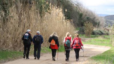 Guided walk in Fitero