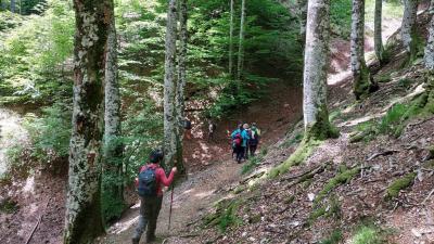 Quinto Real, une promenade à travers l’histoire