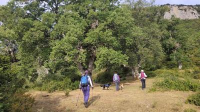 Paseo guiado por Sierra de Lokiz