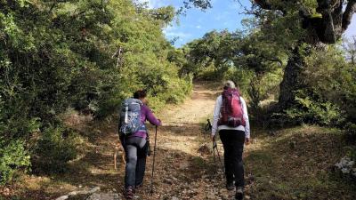 Paseo guiada por Sierra de Lokiz