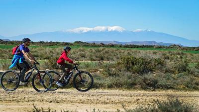 E-bike bidezko ibilbideak gidarekin