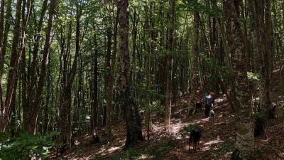 Sierra de Illón: Foces, ermitas y dolmen de Faulo