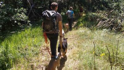 Sierra de Illón: Foces, ermitas y dolmen de Faulo