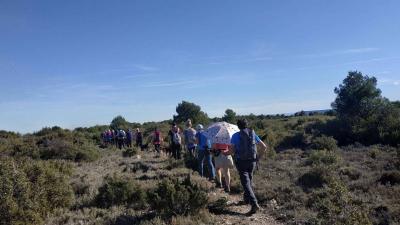 Promenade guidée à travers les Bardenas Reales